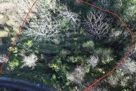 იყიდება მიწის ნაკვეთი, სასოფლო - სამეურნეო, ზედა ახალშენი