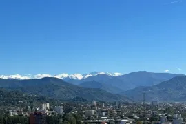 იყიდება ბინა, 1 ოთახიანი, ახალი აშენებული, ბათუმი, აეროპორტის უბანი