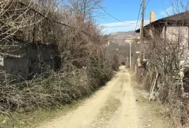 იყიდება მიწის ნაკვეთი, სასოფლო - სამეურნეო, ძეგვი