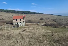 იყიდება მიწის ნაკვეთი, სასოფლო - სამეურნეო, წავკისი