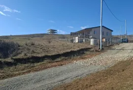 იყიდება მიწის ნაკვეთი, სასოფლო - სამეურნეო, წავკისი