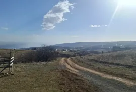 იყიდება მიწის ნაკვეთი, სასოფლო - სამეურნეო, წავკისი