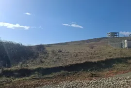 იყიდება მიწის ნაკვეთი, სასოფლო - სამეურნეო, წავკისი