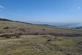 იყიდება მიწის ნაკვეთი, სასოფლო - სამეურნეო, წავკისი