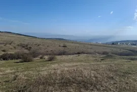 იყიდება მიწის ნაკვეთი, სასოფლო - სამეურნეო, წავკისი