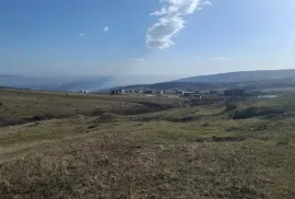 იყიდება მიწის ნაკვეთი, სასოფლო - სამეურნეო, წავკისი