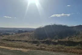 იყიდება მიწის ნაკვეთი, სასოფლო - სამეურნეო, წავკისი