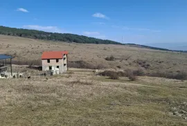 იყიდება მიწის ნაკვეთი, სასოფლო - სამეურნეო, წავკისი