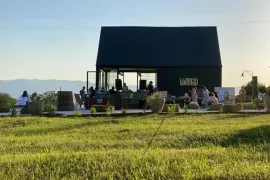 იყიდება მიწის ნაკვეთი, საინვესტიციო, ორბეთი 