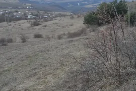 იყიდება მიწის ნაკვეთი, საინვესტიციო, ორბეთი 