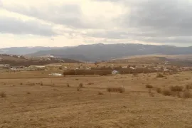 იყიდება მიწის ნაკვეთი, საინვესტიციო, ორბეთი 