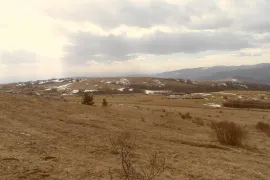 იყიდება მიწის ნაკვეთი, საინვესტიციო, ორბეთი 