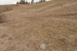 იყიდება მიწის ნაკვეთი, საინვესტიციო, ორბეთი 