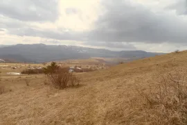 იყიდება მიწის ნაკვეთი, საინვესტიციო, ორბეთი 