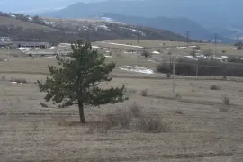 იყიდება მიწის ნაკვეთი, საინვესტიციო, ორბეთი 