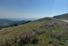 იყიდება მიწის ნაკვეთი, საინვესტიციო, ორბეთი 