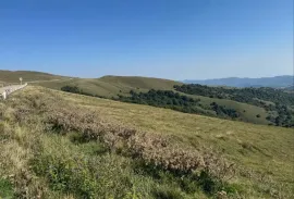 იყიდება მიწის ნაკვეთი, საინვესტიციო, ორბეთი 