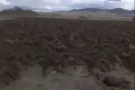 იყიდება მიწის ნაკვეთი, სასოფლო - სამეურნეო, ზემო ჩოჩეთი