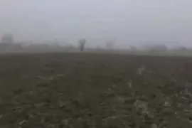 იყიდება მიწის ნაკვეთი, სასოფლო - სამეურნეო, ზემო ჩოჩეთი