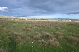 იყიდება მიწის ნაკვეთი, არა სასოფლო - სამეურნეო, ნორიო 