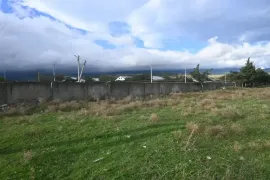 იყიდება მიწის ნაკვეთი, არა სასოფლო - სამეურნეო, ნორიო 