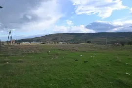 იყიდება მიწის ნაკვეთი, არა სასოფლო - სამეურნეო, ნორიო 