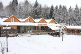 For Sale , Hotel, Bakuriani