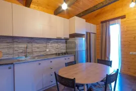 House For Rent, 2 Room, Borjomi , Bakuriani