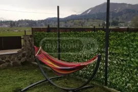 House For Rent, 2 Room, Borjomi , Bakuriani