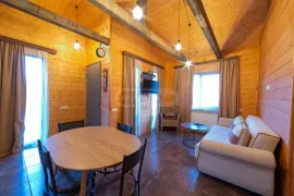 House For Rent, 2 Room, Borjomi , Bakuriani