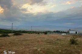 Land For Sale, Agricultural, Arashenda