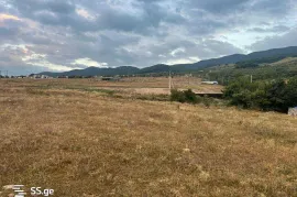 Land For Sale, Agricultural, Arashenda