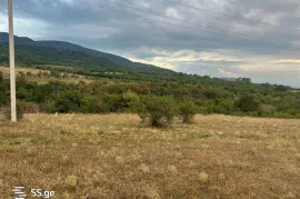 Land For Sale, Agricultural, Arashenda