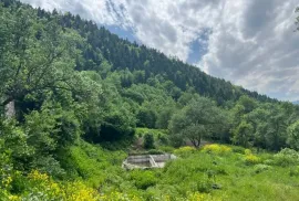 იყიდება მიწის ნაკვეთი, ჭობისხევი