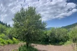 იყიდება მიწის ნაკვეთი, ჭობისხევი