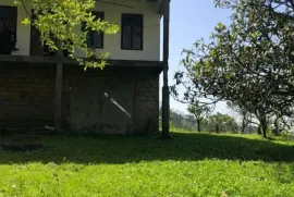 იყიდება მიწის ნაკვეთი, სასოფლო - სამეურნეო, ზედა აჭყვა