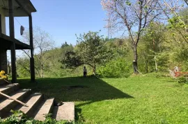 იყიდება მიწის ნაკვეთი, სასოფლო - სამეურნეო, ზედა აჭყვა