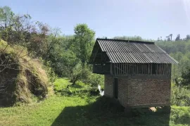 იყიდება მიწის ნაკვეთი, სასოფლო - სამეურნეო, ზედა აჭყვა