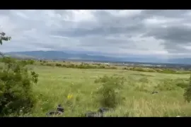 იყიდება მიწის ნაკვეთი, სასოფლო - სამეურნეო, სოფ. დიღომი