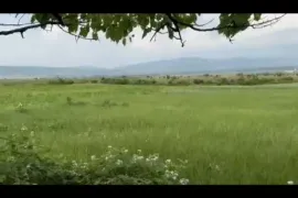 იყიდება მიწის ნაკვეთი, სასოფლო - სამეურნეო, სოფ. დიღომი