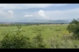 იყიდება მიწის ნაკვეთი, სასოფლო - სამეურნეო, სოფ. დიღომი