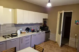 იყიდება სახლი, 8 ოთახიანი, თბილისი, ლოტკინი