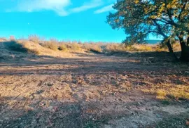 იყიდება მიწის ნაკვეთი, სასოფლო - სამეურნეო, ახალი ნიჩბისი