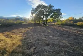 იყიდება მიწის ნაკვეთი, სასოფლო - სამეურნეო, ახალი ნიჩბისი