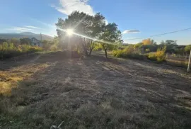 იყიდება მიწის ნაკვეთი, სასოფლო - სამეურნეო, ახალი ნიჩბისი