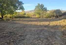 იყიდება მიწის ნაკვეთი, სასოფლო - სამეურნეო, ახალი ნიჩბისი