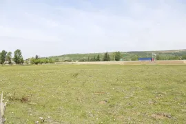 იყიდება მიწის ნაკვეთი, სასოფლო - სამეურნეო