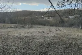 იყიდება მიწის ნაკვეთი, სასოფლო - სამეურნეო, თეთრიწყარო