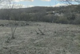 იყიდება მიწის ნაკვეთი, სასოფლო - სამეურნეო, თეთრიწყარო