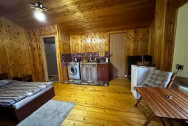 Аренда, 1 Kомнатная, Старое здание, Тбилиси, Чугурети